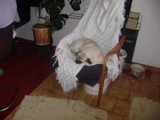 DSC00434.jpg
