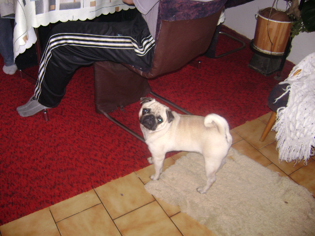 DSC00436.jpg