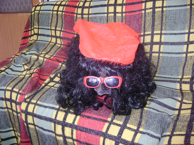 DSC00891.jpg