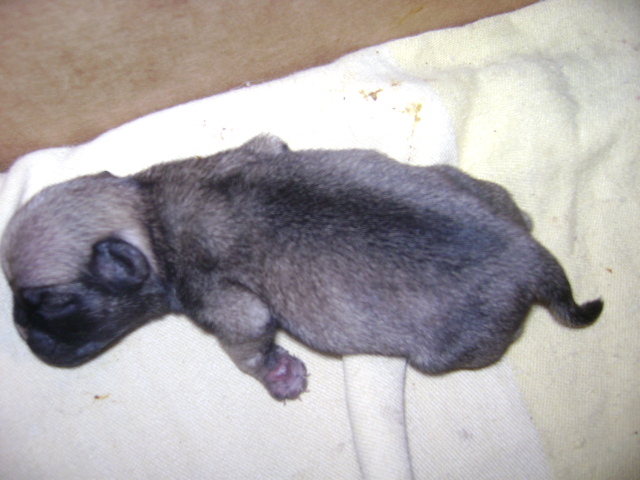 DSC00573.jpg
